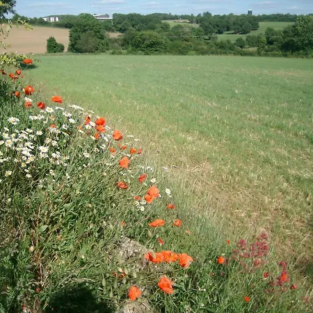 M. Clemenceau - Les Maisonnettes De La Maneliere *