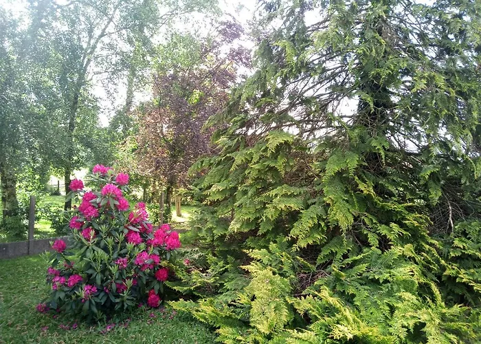 Сasa de vacaciones M. Clemenceau - Les Maisonnettes De La Maneliére