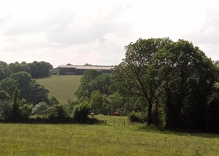 Les Maisonnettes De La Maneliere, En Campagne Proche Du Puy Dufou * La Flocelliere