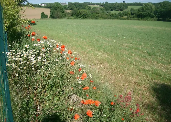 Les Maisonnettes De La Maneliere, En Campagne Proche Du Puy Dufou *